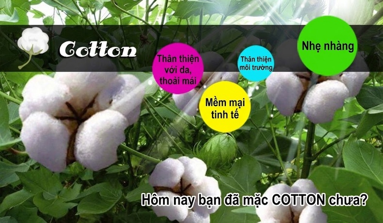 Áo Khoác Cotton Nam Mỏng Dáng Ôm Cổ Bẻ Khóa Kéo Màu Be, Xanh Rêu chi tiết 1