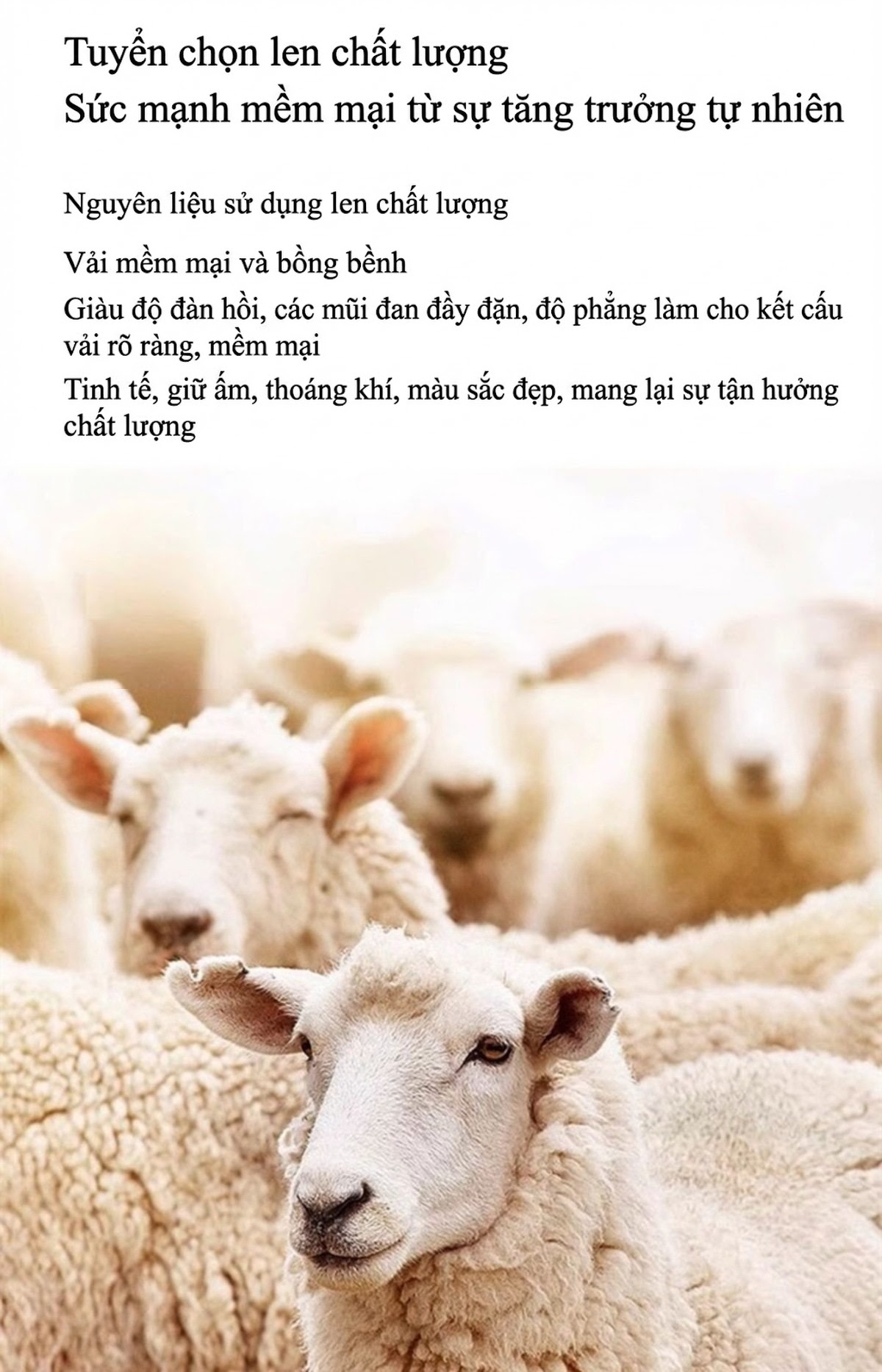 Áo Khoác Dạ Lông Cừu Hai Mặt Dáng Dài Phong Cách Hàn Quốc Màu Hồng, Xám, Kem chi tiết 8