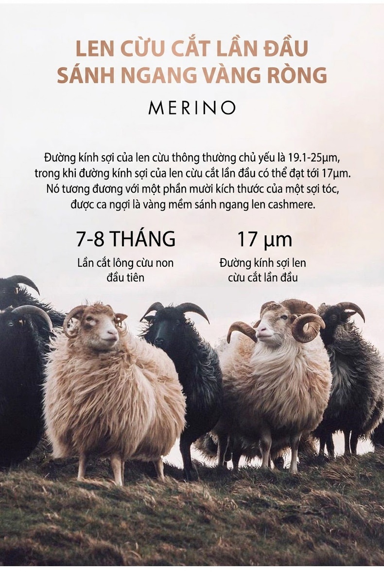 Áo Khoác Dạ Nam 100% Lông Cừu Dáng Ôm Vừa Vặn Dài Vừa Màu Nâu, Đen, Xanh Navy chi tiết 4
