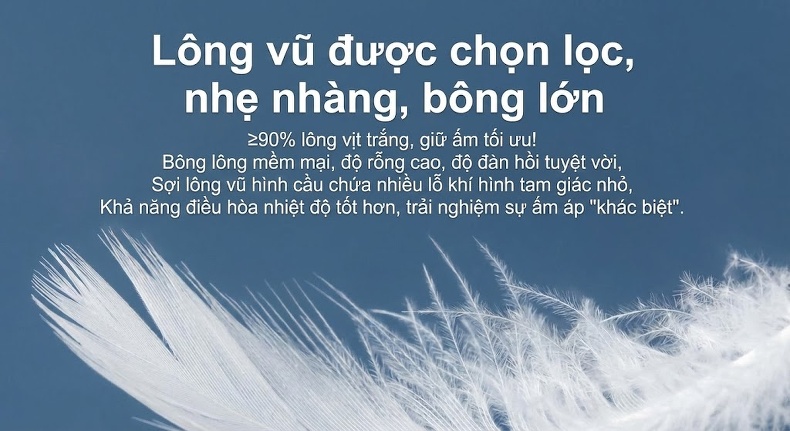 Áo Khoác Dạ Nam 100% Lông Cừu Hai Mặt Cúc Đôi Lót Lông Vũ Tháo Rời Màu Đen, Nâu chi tiết 9