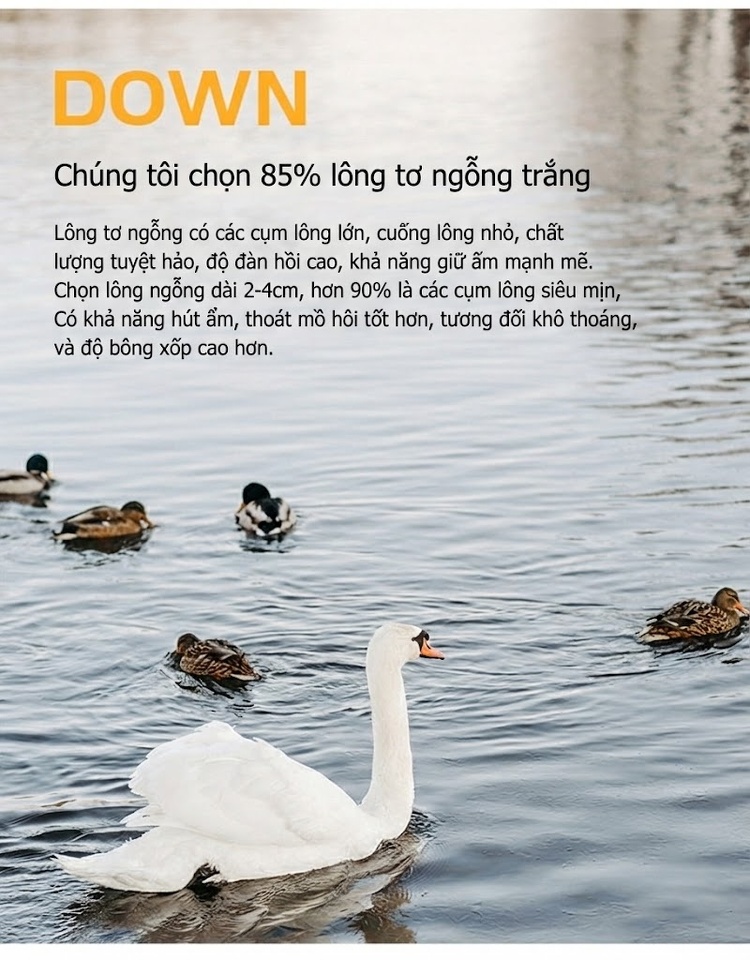 Áo Khoác Dạ Nam 100% Lông Cừu Lót Lông Vũ Tháo Rời Dáng Dài Màu Đen, Nâu chi tiết 8