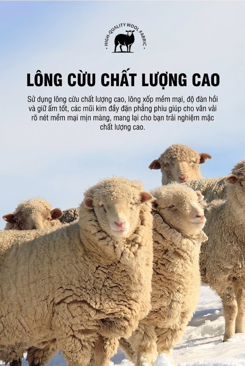 Áo Khoác Dạ Nam Dáng Dài Cổ chữ Vest Lông Cừu Màu Đen, Nâu, Xanh Navy, Xanh Rêu chi tiết 3