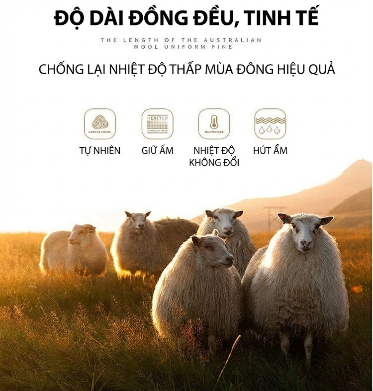 Áo Khoác Dạ Nam Hai Mặt Cổ Khăn Choàng Tháo Rời, Lót Trong Dạ Màu Đen, Nâu chi tiết 1