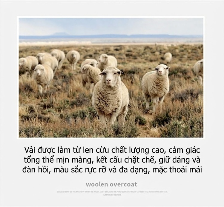 Áo Khoác Dạ Nam Hai Mặt Dáng Dài Cổ chữ Vest Thanh Lịch Chất Liệu Lông Cừu Màu Đen chi tiết 2