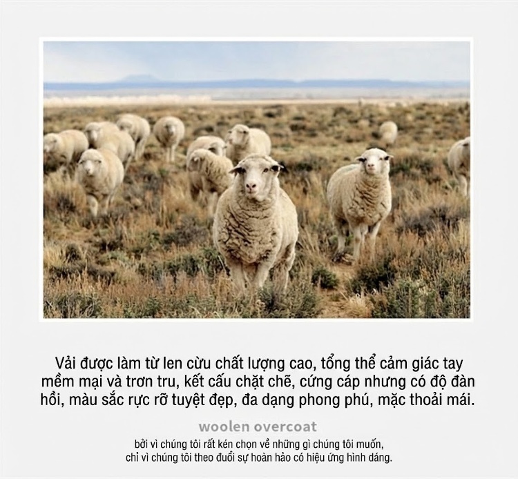 Áo Khoác Dạ Nam Hai Mặt Lông Cừu Cổ chữ Vest Trung Dài Phong Cách Công Sở Màu Be, Nâu, Xám, Đen... chi tiết 2