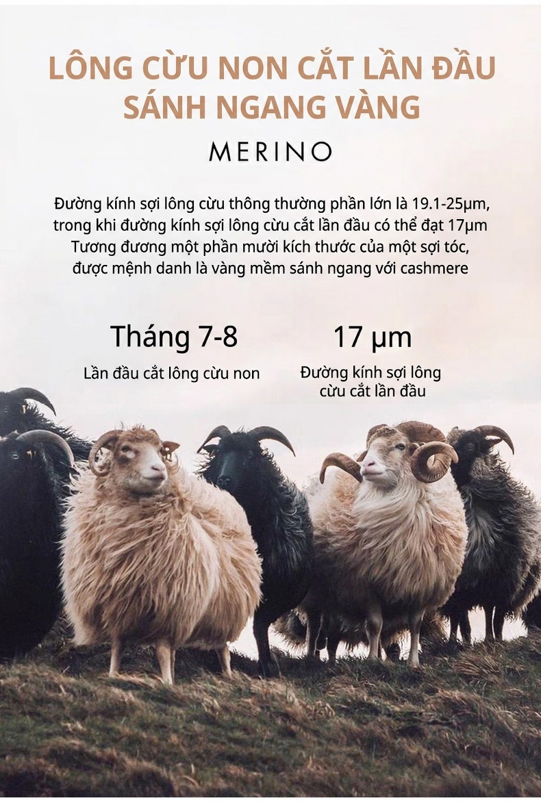 Áo Khoác Dạ Nam Hai Mặt Lông Cừu Kẻ Ô Dáng Suông Màu Xám chi tiết 5