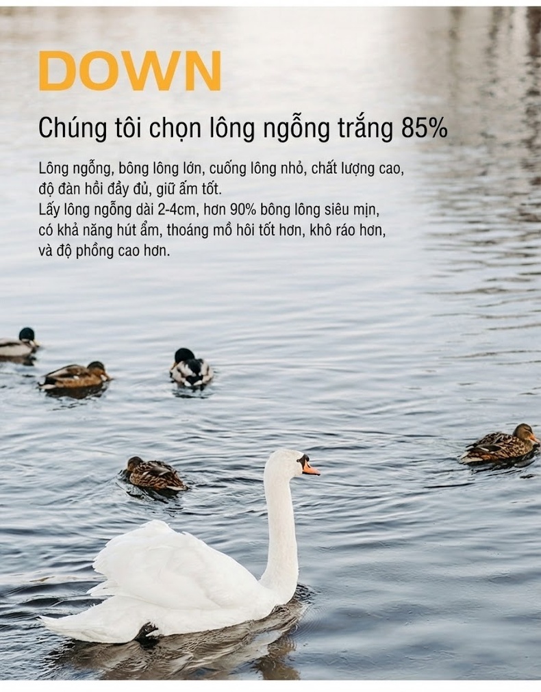Áo Khoác Dạ Nam Lông Vũ Lót Lông Cừu Hai Hàng Khuy Màu Nâu, Đen chi tiết 8