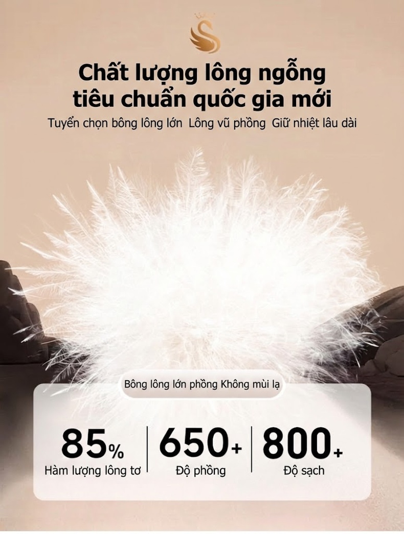 Áo Khoác Dạ Nam Lông Vũ, Lót Lông Ngỗng Có Thể Tháo Rời Màu Đen chi tiết 10