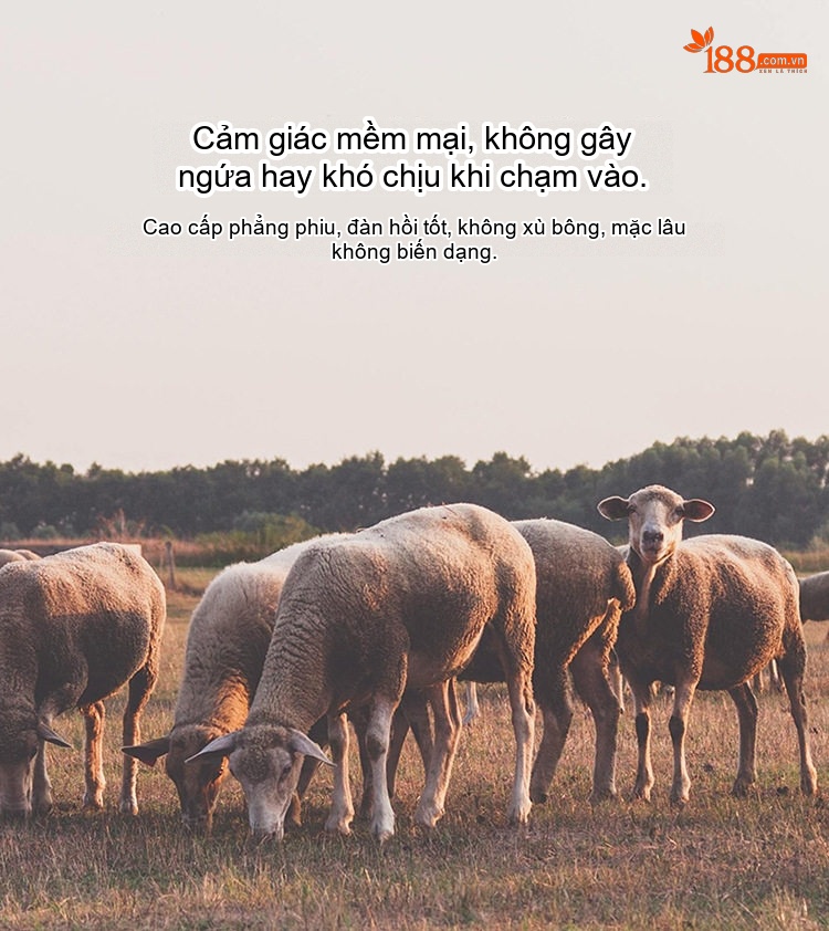 Áo Khoác Dạ Nam Trung Niên Dáng Dài Có Khăn Quàng Cổ Lót Bông Màu Xám, Đen chi tiết 2