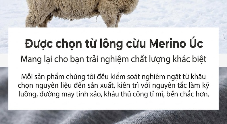 Áo Khoác Dạ Nữ Dáng Dài Thu Đông Ôm Dáng Thắt Eo Phong Cách Hepburn Màu Be, Nâu, Xám, Xanh... chi tiết 2