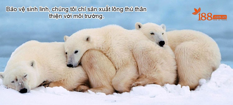 Áo Khoác Dáng Dài Nữ Da Chồn Thật Cổ Lông Cáo Bạc Màu Đen, Xám chi tiết 1