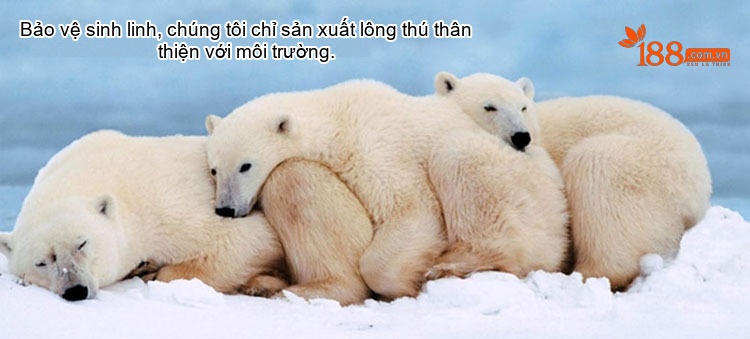 Áo Khoác Lông Nữ Giả Lông Cáo Dáng Ôm Phong Cách Hàn Quốc Màu Trắng Kem chi tiết 1