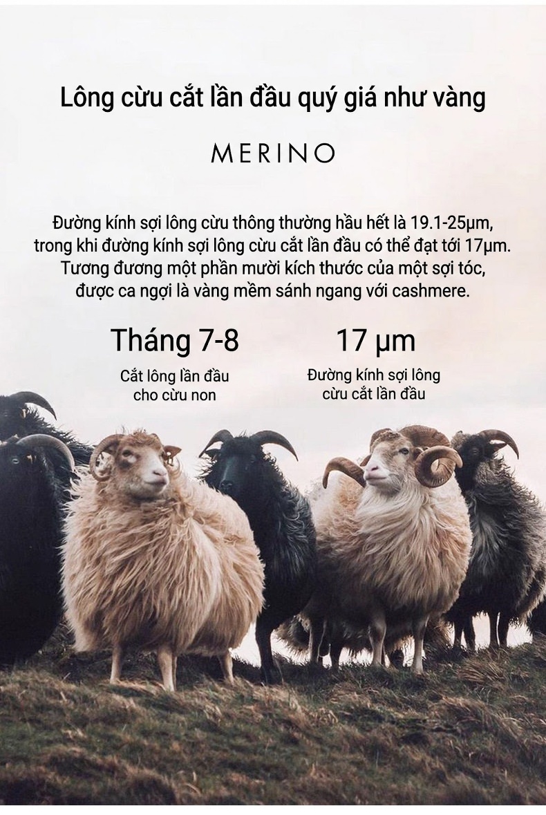Áo Khoác Nam 100% Lông Cừu Dáng Trend Màu Nâu, Xanh Navy, Đen chi tiết 4