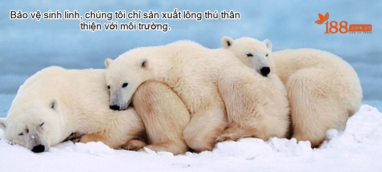 Áo Khoác Nam Dáng Dài Lông Thú Cổ Lông Cáo Màu Đen chi tiết 1