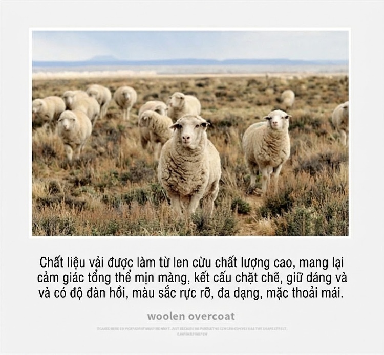 Áo Khoác Nam Dáng Dài Vải Tweed Cổ Bẻ Màu Be, Đen, Xám chi tiết 3