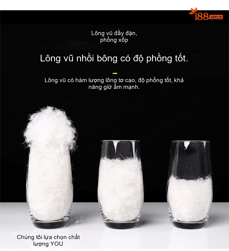 Áo Khoác Phao Nam Cổ Bóng Chày Dày Dặn Giữ Ấm Lông Vũ Trắng Màu Đỏ, Trắng, Xám, Đen... chi tiết 4
