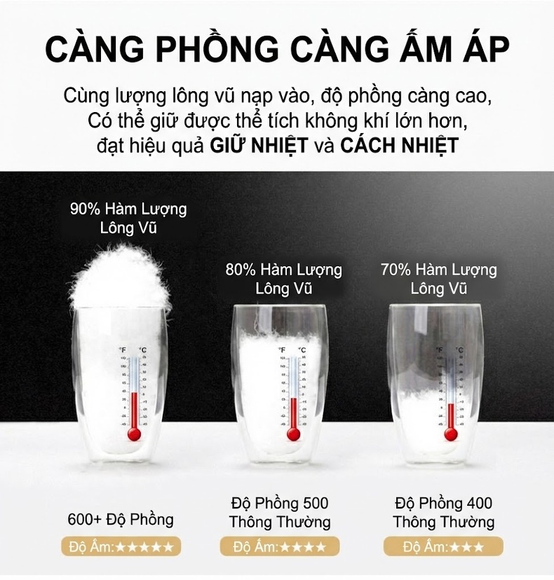 Áo Khoác Phao Nam Lông Vũ Dày Dặn Cổ Trụ Giữ Ấm Màu Xám, Đen chi tiết 6