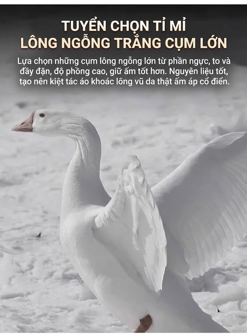 Áo Khoác Phao Nữ Da Thật Dáng Dài Vừa Lông Vũ Cổ Lông Cáo Da Cừu Màu Đen chi tiết 3