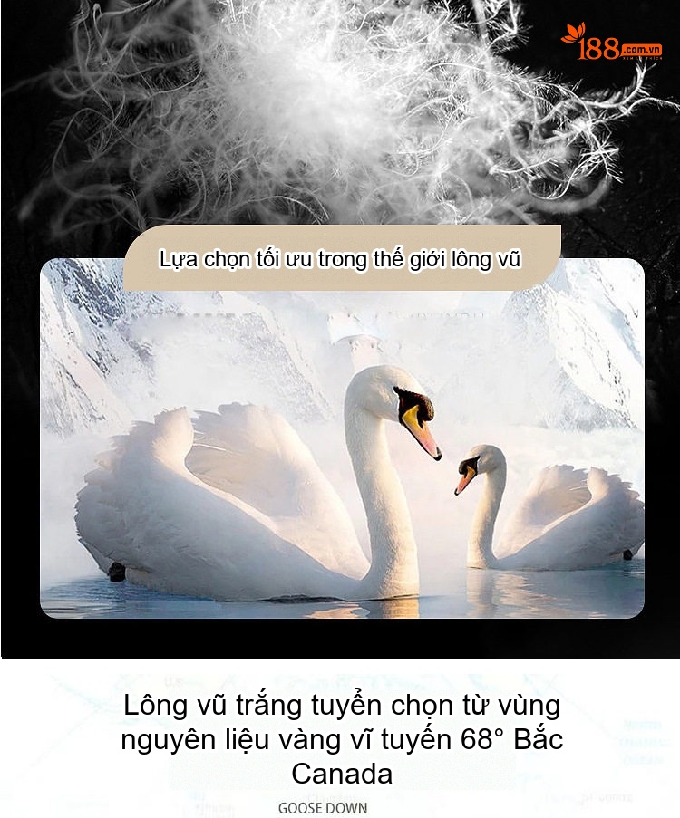 Áo Khoác Phao Nữ Da Thật Dáng Dài Vừa Lông Vũ Cổ Lông Màu Đen chi tiết 5