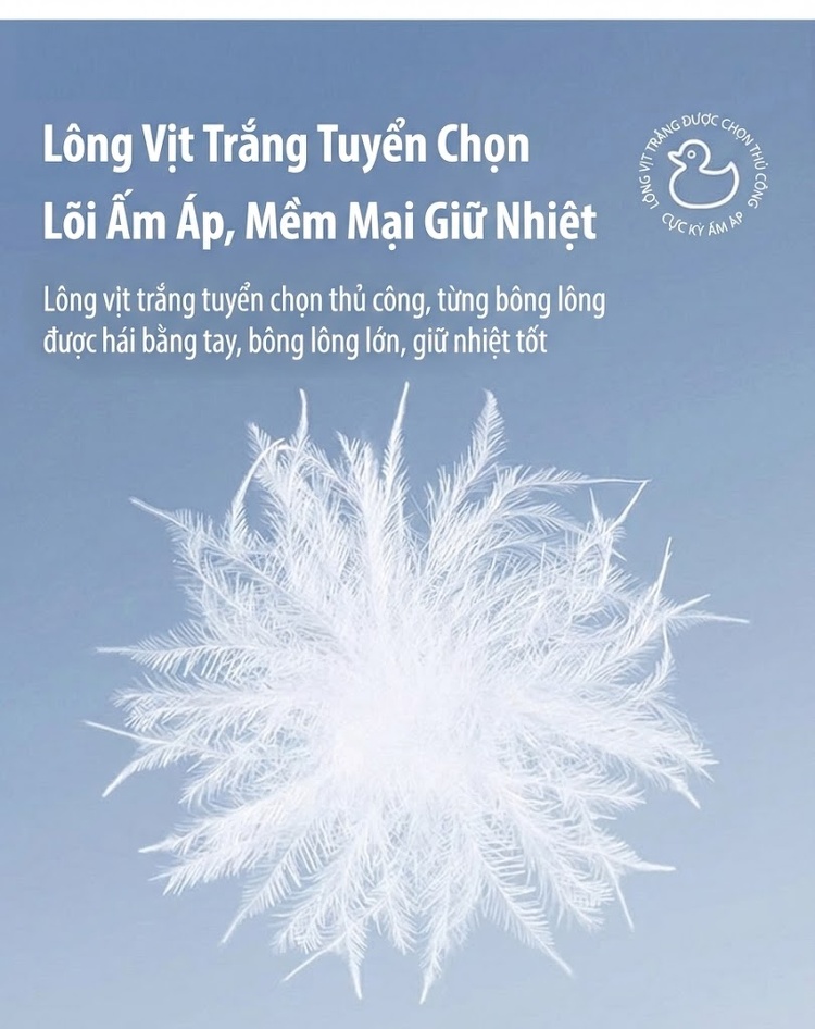 Áo Khoác Phao Nữ Dáng Ngắn Cổ Trụ Thiết Kế Túi Hộp Màu Đen, Nâu, Đỏ Rượu Vang chi tiết 12