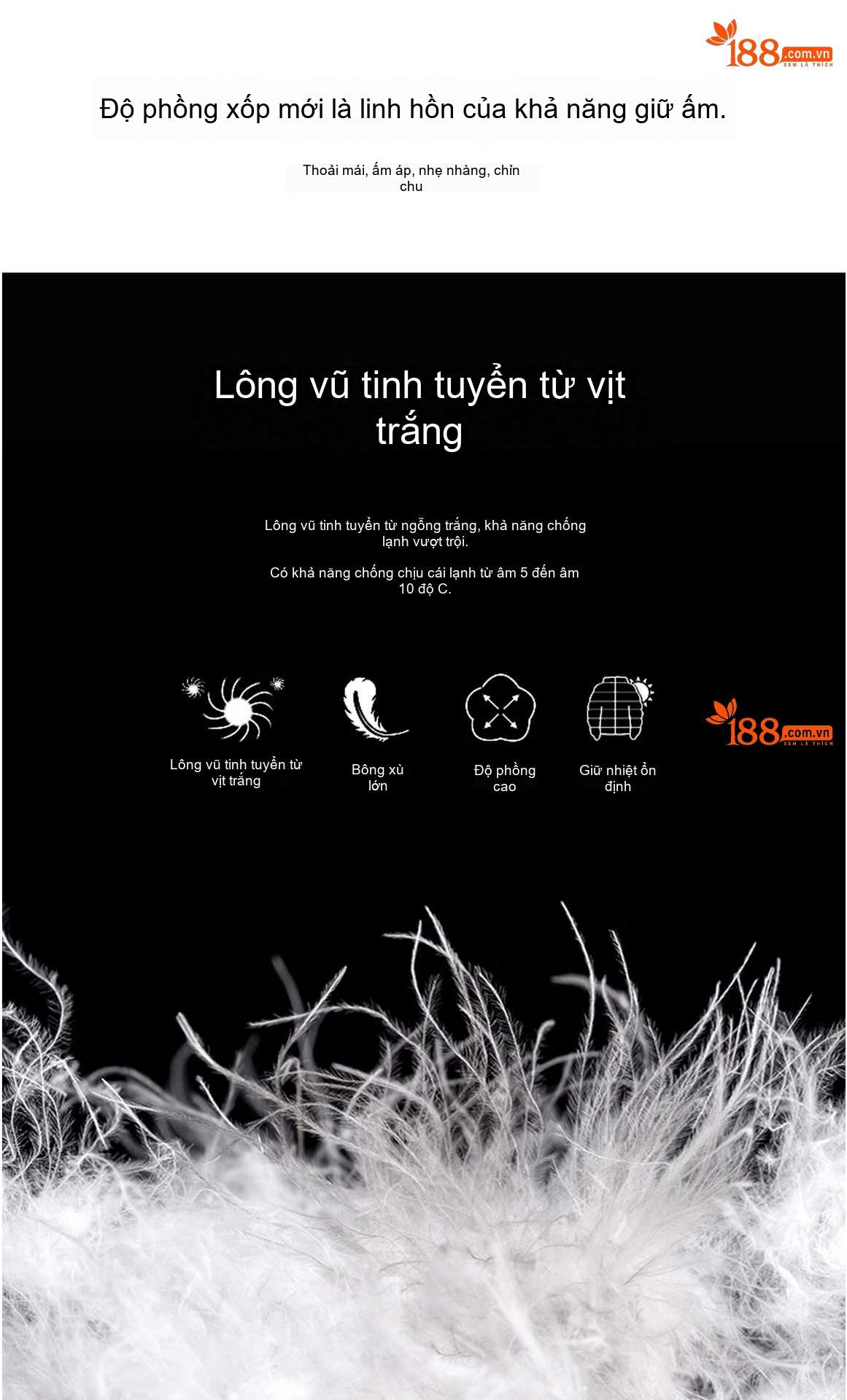Áo Khoác Phao Nữ Ngắn Tay Dáng Bánh Mì Dày Dặn Vải Gió Màu Kem, Tím, Đen chi tiết 8