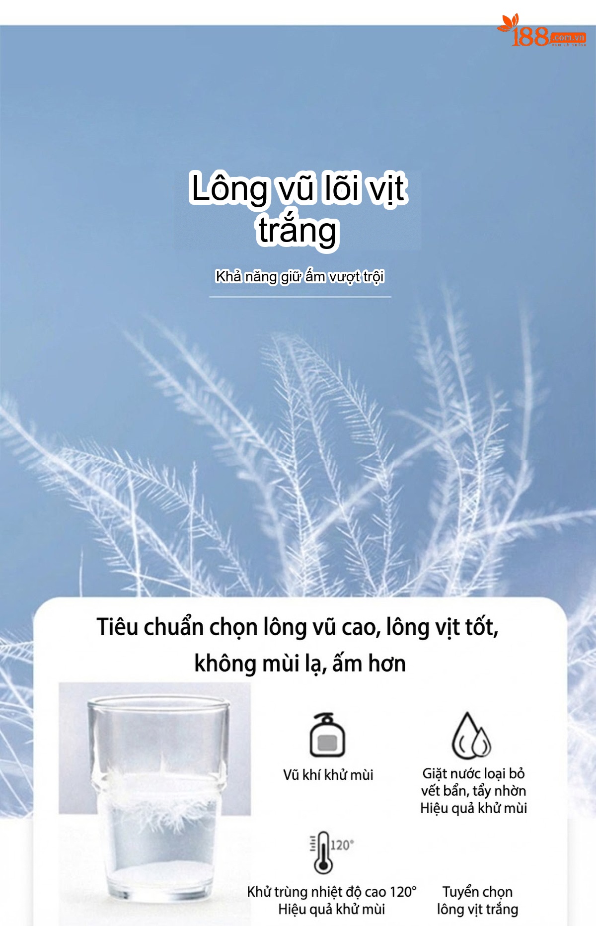 Áo Khoác Phao Nữ Ngắn Tay Dáng Nhỏ Gọn Mũ Trùm Đầu Ấm Áp Màu Đen, Kem, Đỏ Rượu Vang chi tiết 6