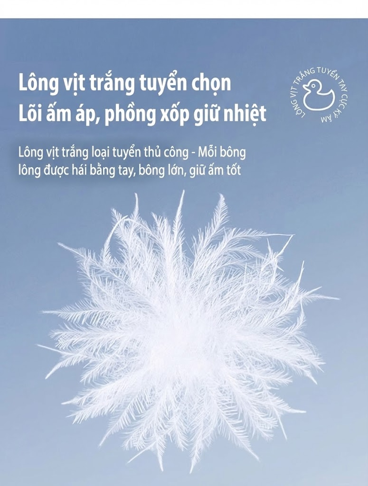Áo Khoác Phao Nữ Thêu Họa Tiết Nhẹ Mỏng Giữ Ấm Màu Trắng Kem chi tiết 9