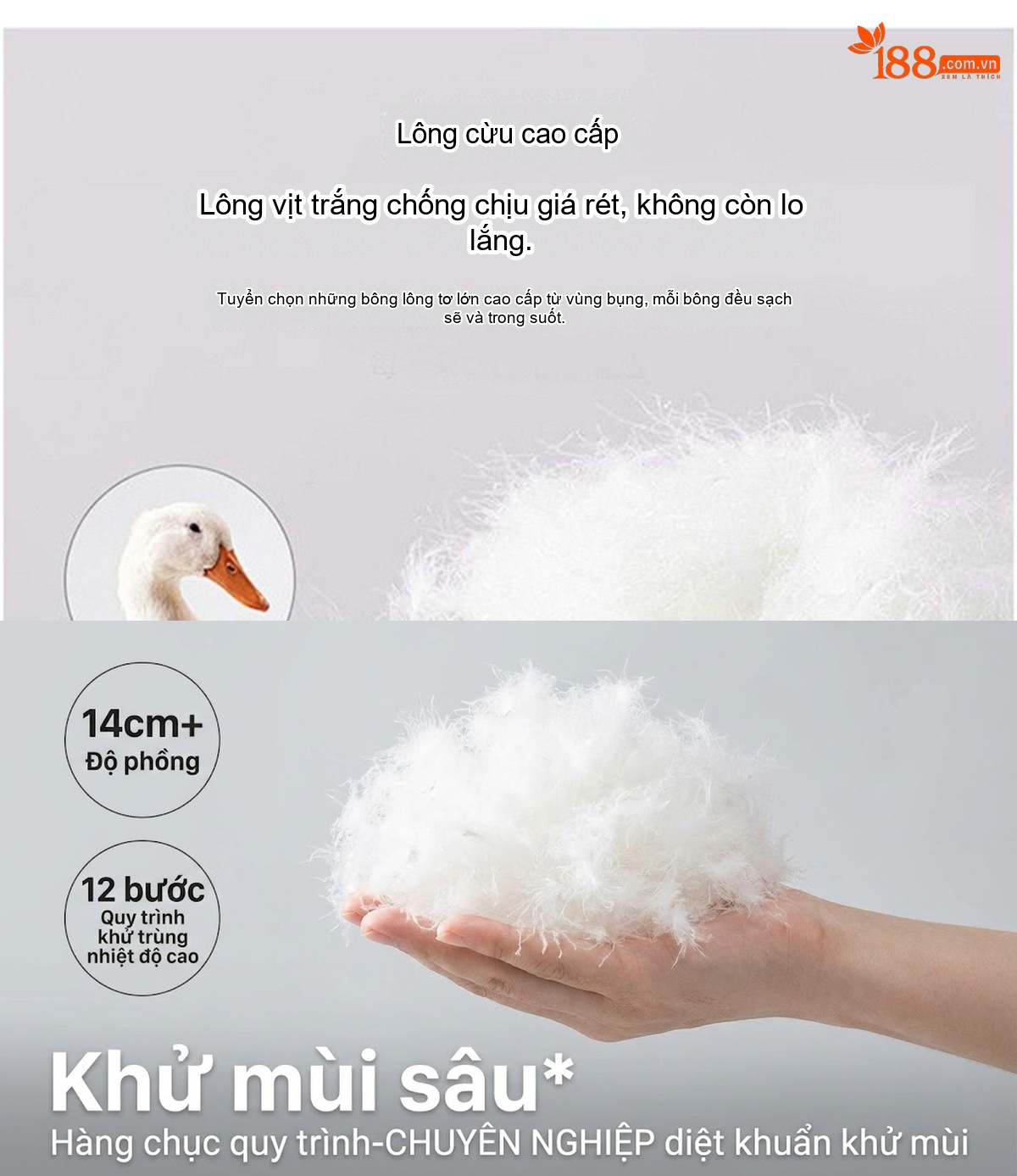 Áo Phao Nữ Ngắn Da Bóng Dáng Bánh Mì Lông Vũ Trắng Màu Đỏ Rượu Vang, Nâu, Đen chi tiết 7