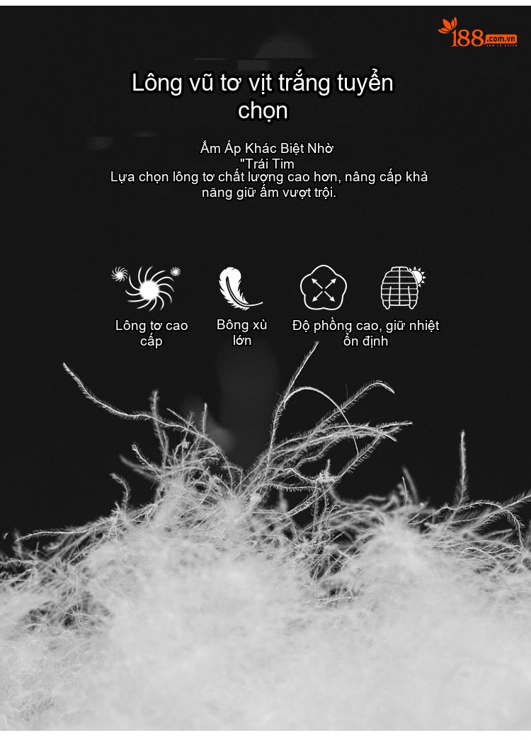 Áo Phao Nữ Ngắn Dáng Nhỏ Gọn Lót Lông Vũ Dày Ấm Phong Cách Hàn Quốc Màu Đen, Trắng, Nâu, Be chi tiết 7