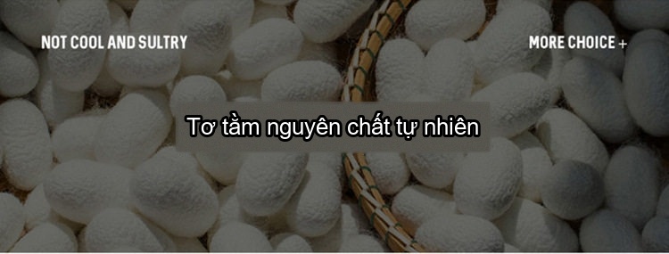 Áo Polo Nam Tay Ngắn Dáng Rộng Thoáng Mát Màu Đen, Xám, Xanh chi tiết 2