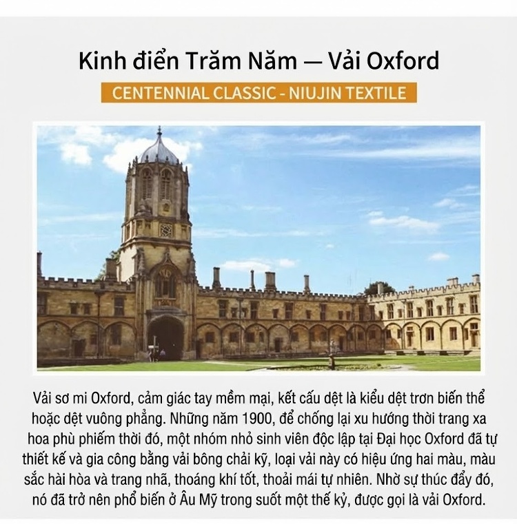 Áo Sơ Mi Dài Tay Nam Cotton Oxford Dáng Ôm Vừa Vặn Nhiều Màu chi tiết 4