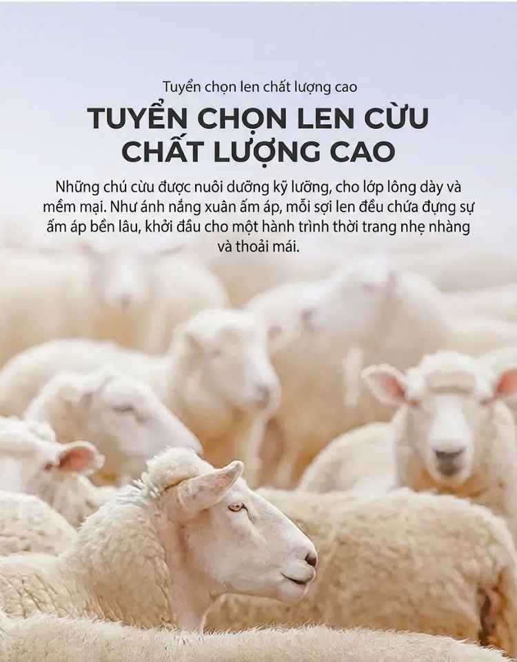 Áo Sơ Mi Dài Tay Nam Thu Đông Chất Liệu Modal Pha Len Màu Đen, Xanh Dương, Trắng, Tím... chi tiết 2