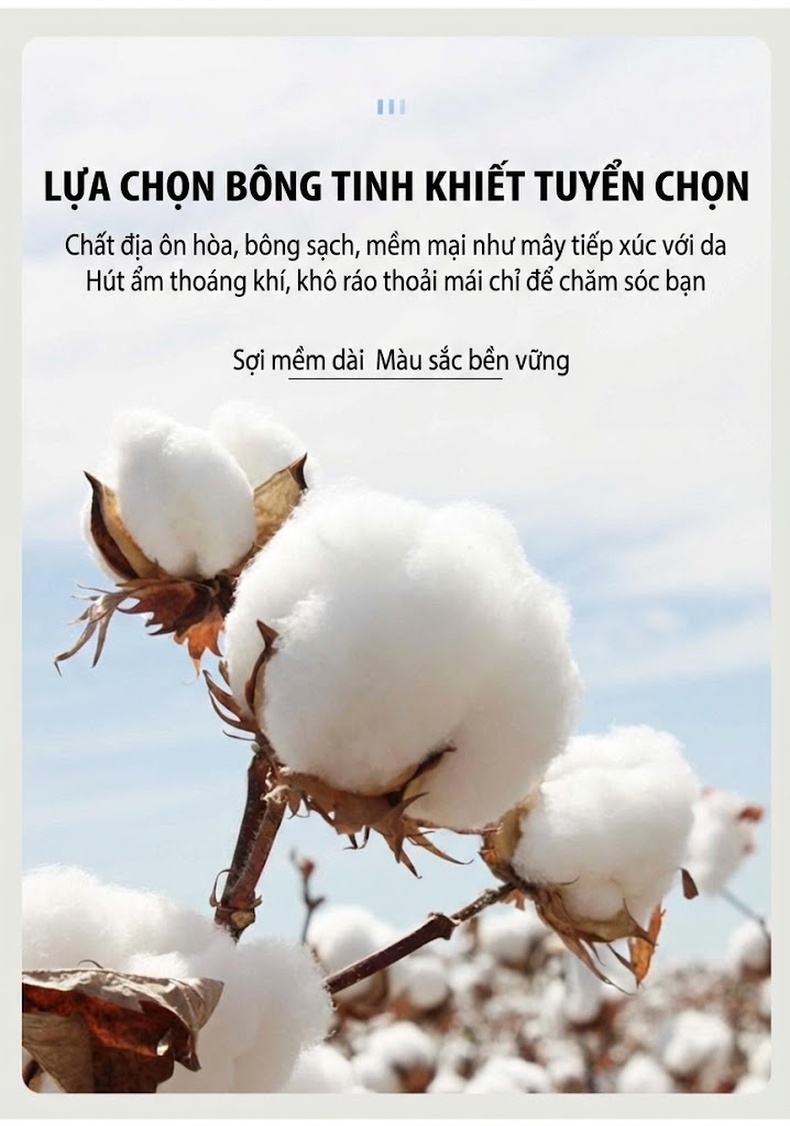 Áo Sơ Mi Nam Cotton Dài Tay Chống Nhăn Màu Trắng, Xanh chi tiết 7