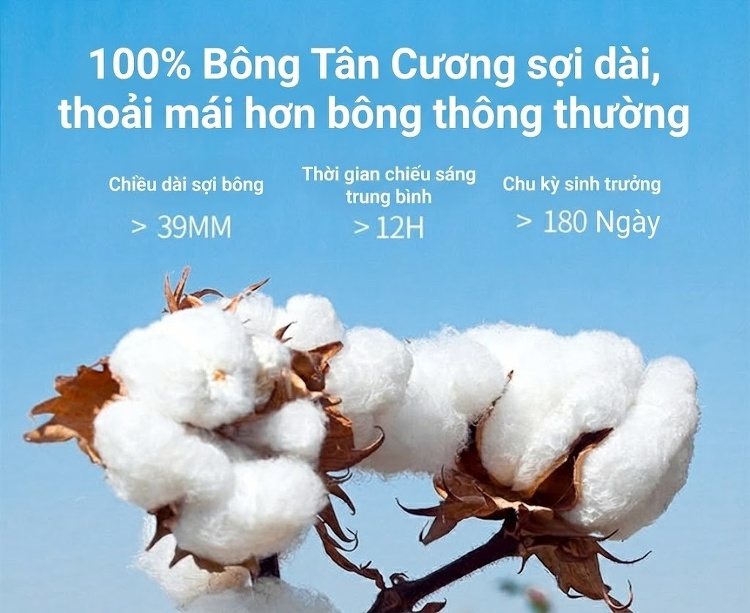 Áo Sơ Mi Ngắn Tay Nam Cotton Oxford Sọc Caro Thanh Lịch Màu Xanh Dương, Xanh Lá, Xám chi tiết 12