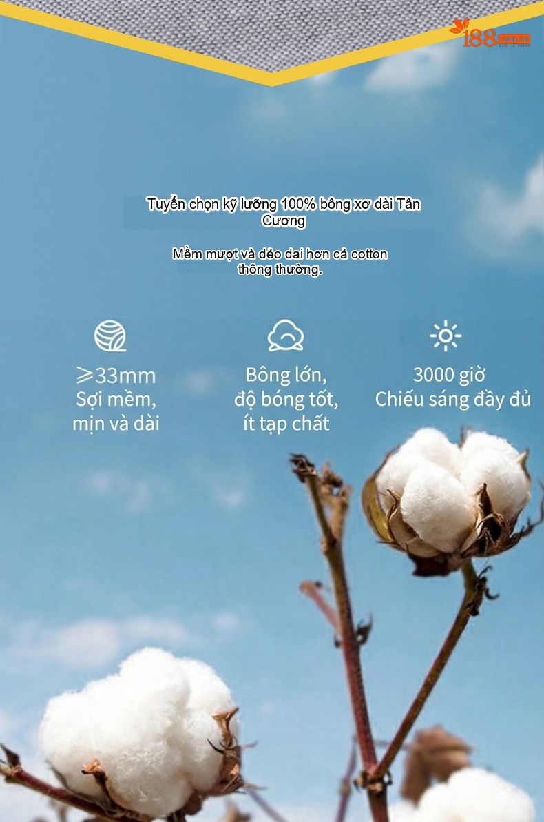 Áo Sơ Mi Ngắn Tay Nam Cotton Thoáng Khí Màu Trắng, Xanh Da Trời, Xám, Hồng... chi tiết 5