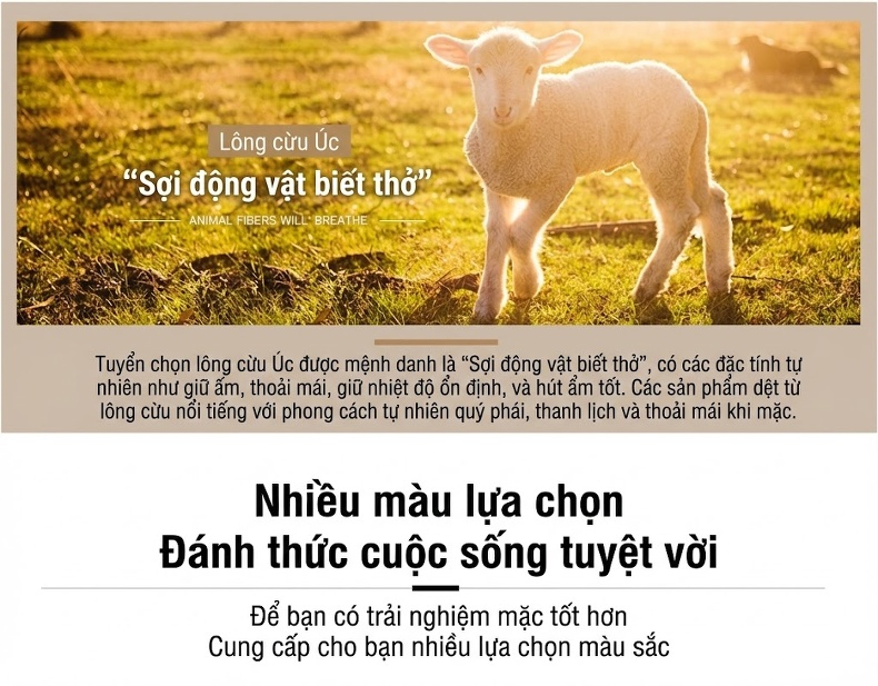 Áo Vest/Blazer Nam Thu Đông Wool (Lông Cừu) Dáng Ôm Thời Trang Màu Xám, Xanh Navy chi tiết 7