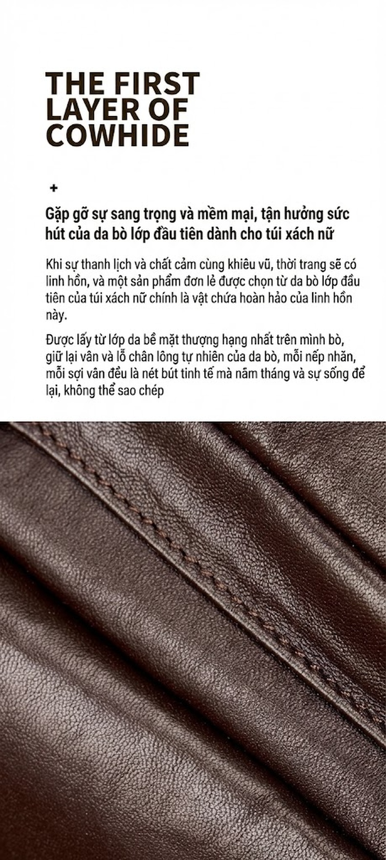 Balo Đôi Nữ Da Thật Cao Cấp Phong Cách Thời Trang Du Lịch Công Sở Màu Đen, Nâu chi tiết 4
