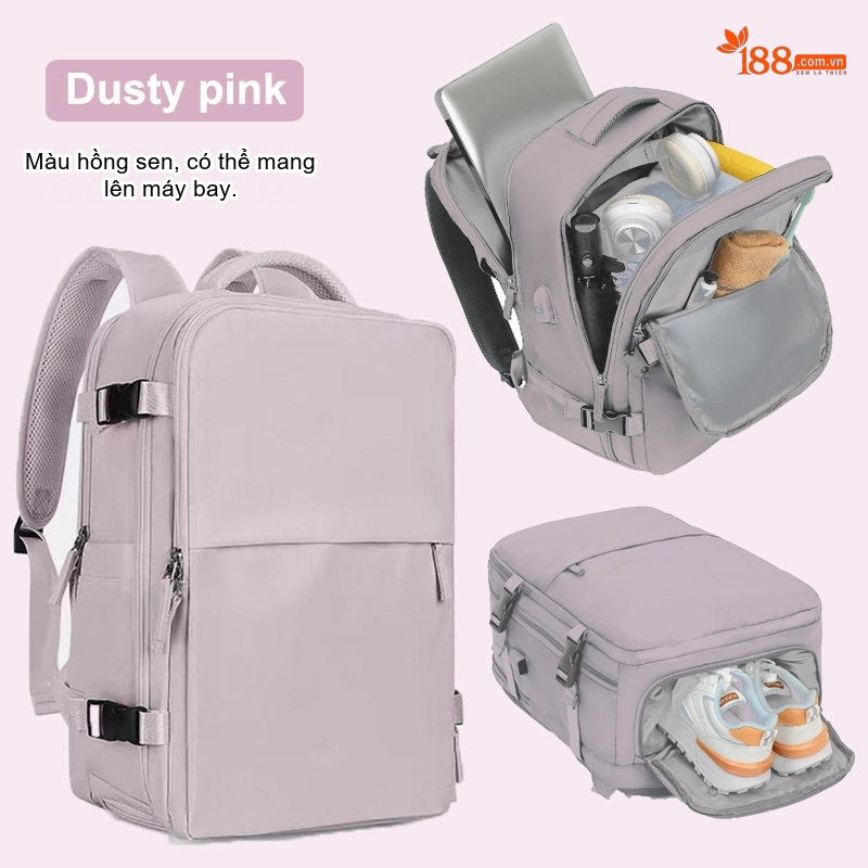 2209 màu hồng củ sen