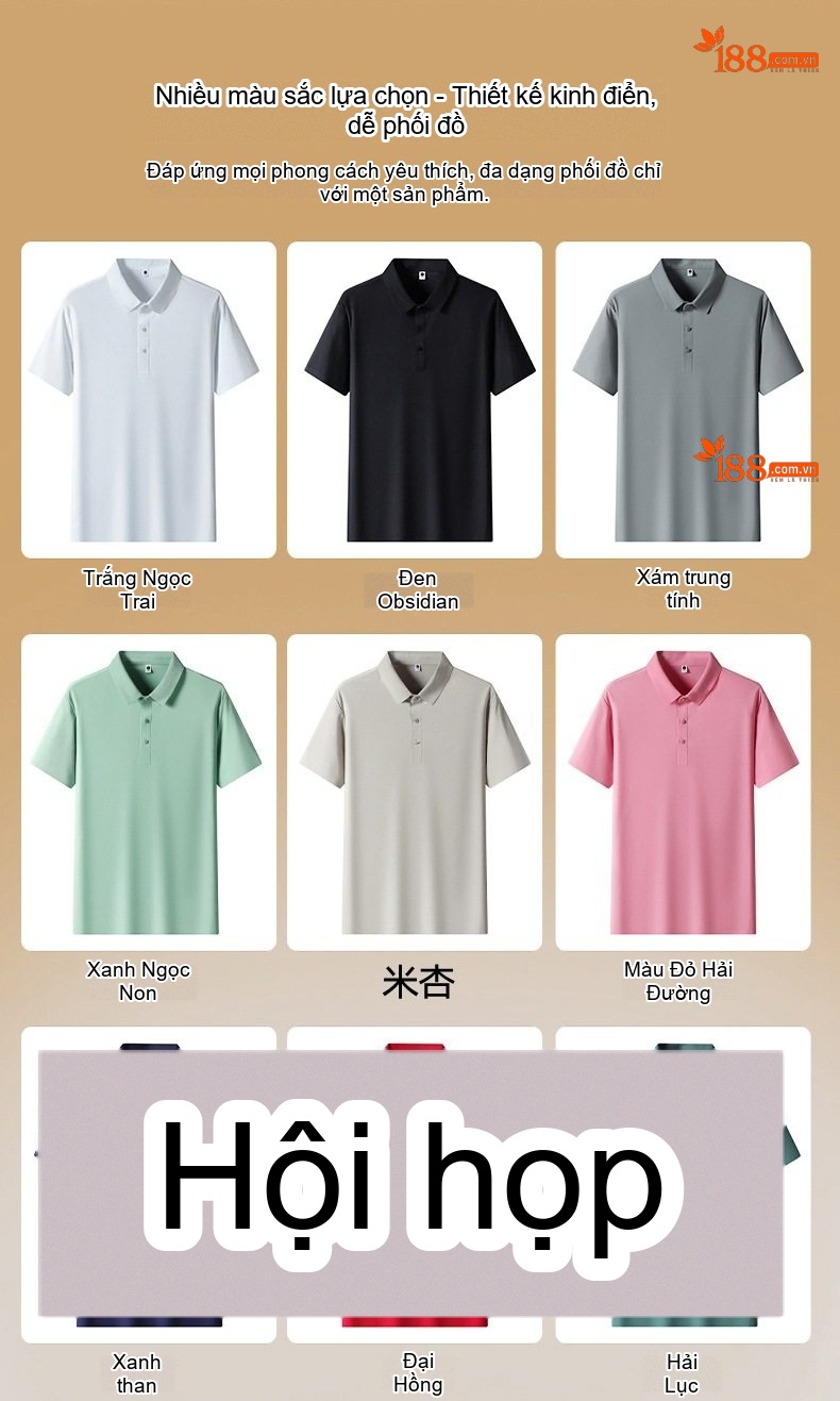 Bộ Quần Áo Nam Mùa Hè Áo Polo Tay Ngắn Quần Dài Chất Liệu Thoáng Mát Màu Xanh, Be, Đen chi tiết 8