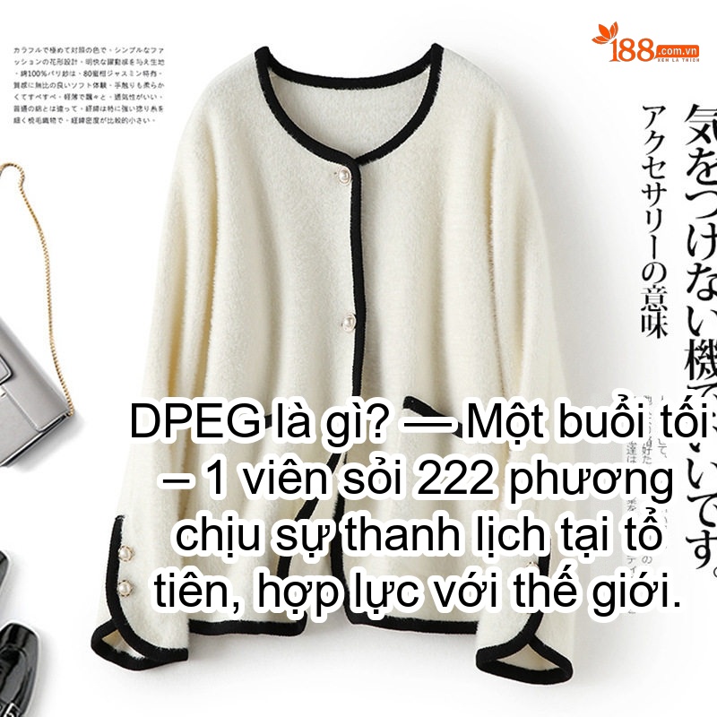 Như ảnh (2)