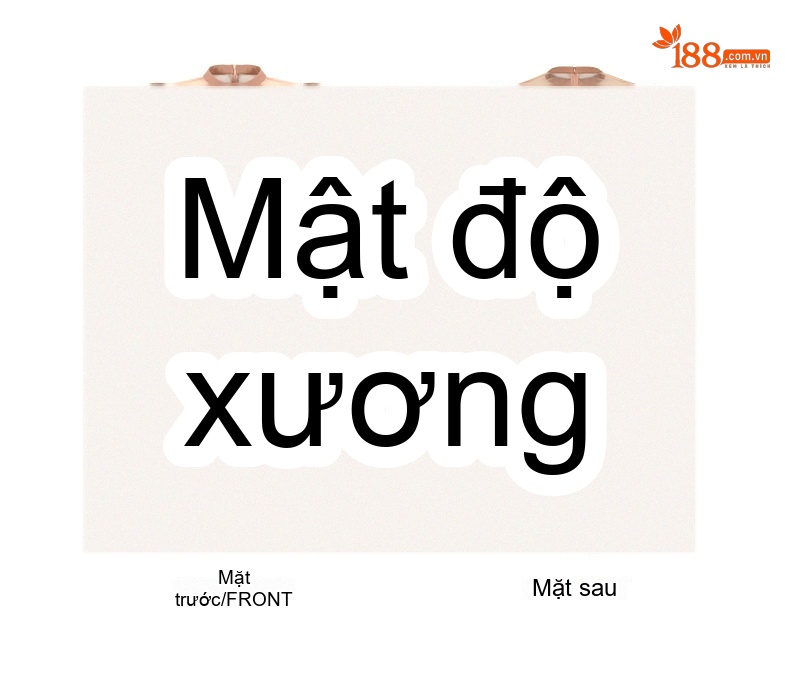 Đầm Ôm Body Nữ Tay Dài Phối Lưới Thiết Kế Xếp Ly Màu Be chi tiết 4