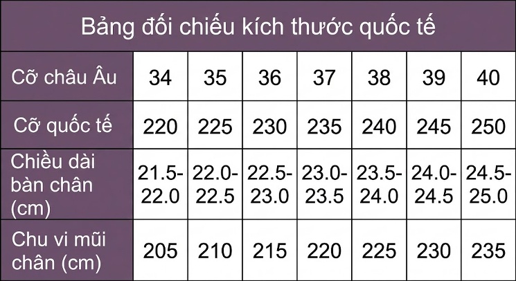 Dép Lê Nữ Quai Trong Suốt Gót Xuồng Chiều Cao Đế Khoảng 7cm Đính Hoa Màu Đen, Vàng, Hồng chi tiết 8