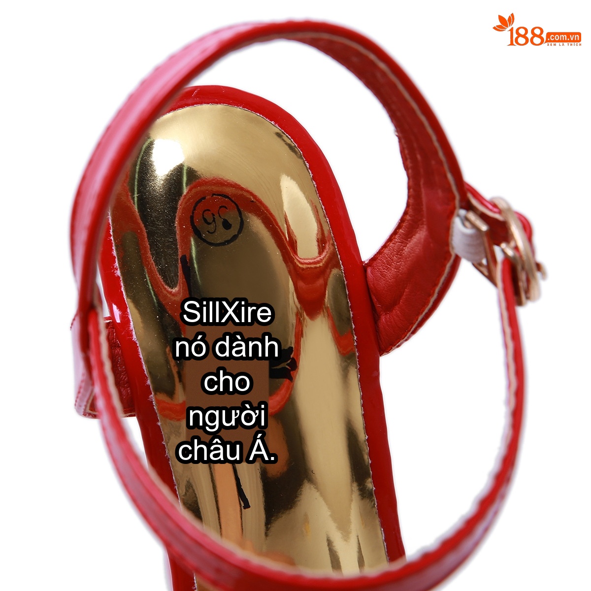 Giày Sandal Cao Gót Nữ Quai Trong Suốt Đế Xuồng Gót Thô Đính Đá Gót Cao 10cm - 12cm Màu Đen, Trắng, Đỏ chi tiết 28