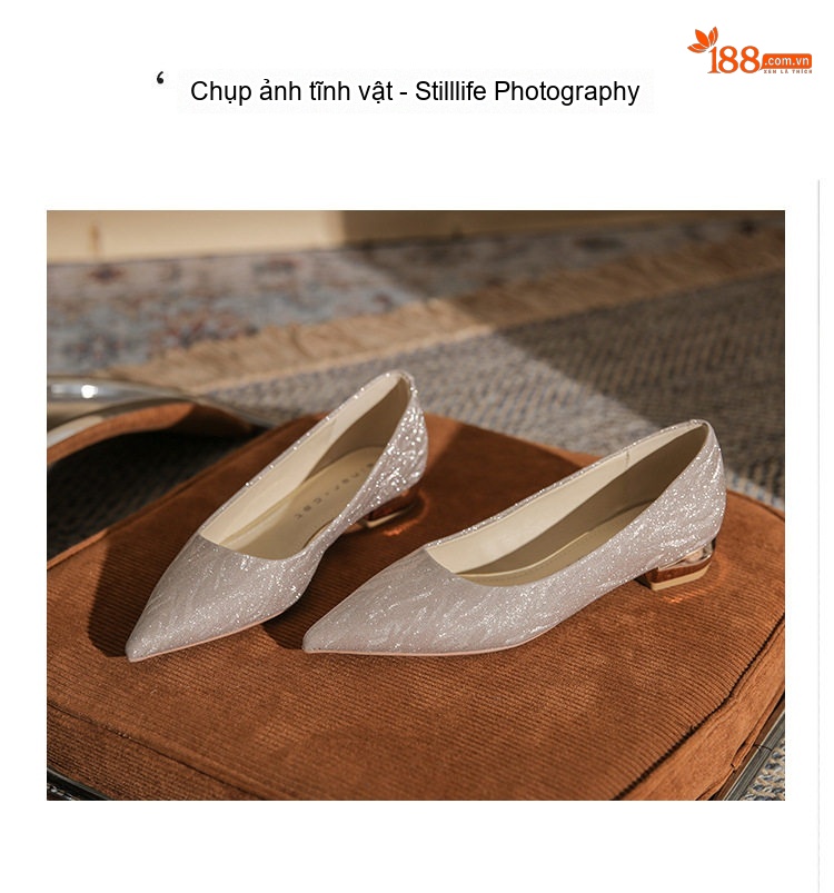 Giày Búp Bê Nữ Gót Vuông Thấp Mũi Nhọn Chiều Cao Đế Khoảng 3cm Màu Bạc chi tiết 23
