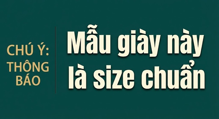 Giày Lười Nam Da Bò Mặt Bóng Chiều Cao Đế Khoảng 3cm Màu Đen, Xanh Lá chi tiết 13