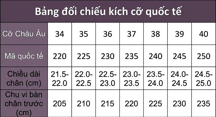Giày Sandal Cao Gót Nữ Quai Trong Suốt Đính Đá Gót Cao 10cm Màu Đen, Đỏ, Bạc, Tím... chi tiết 51