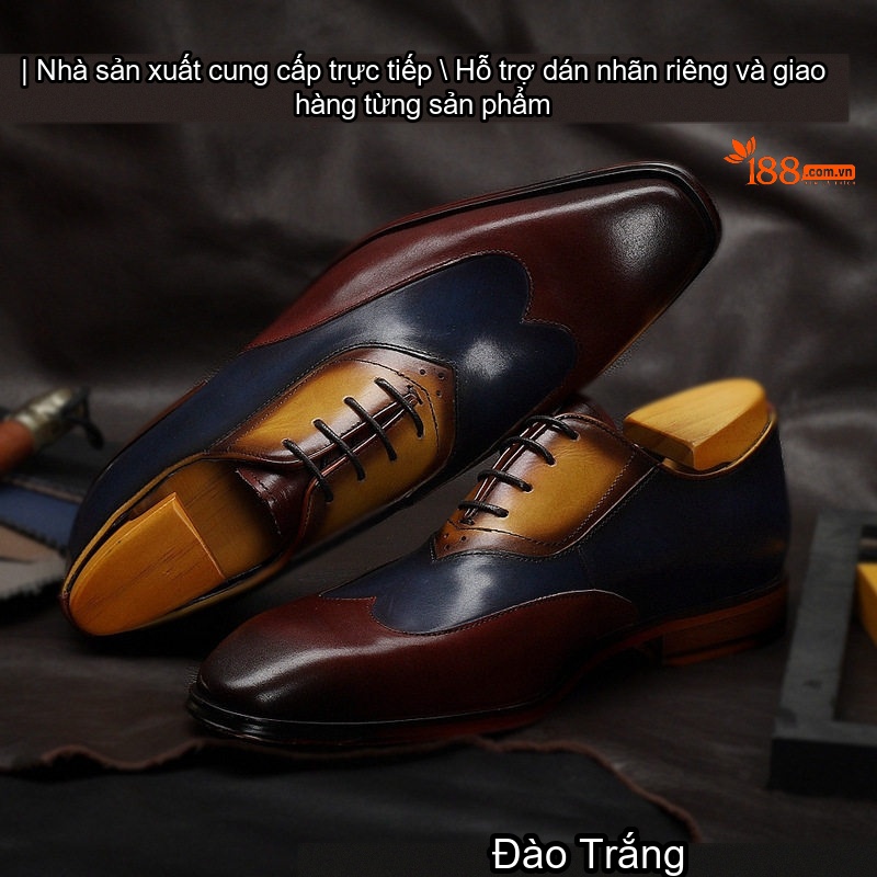 Như ảnh (1)