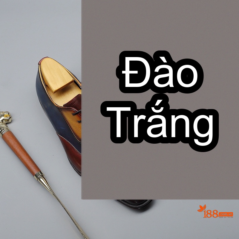 Như ảnh (2)
