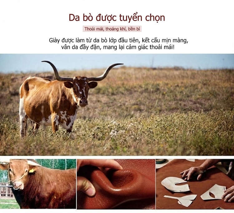 Giày Tây Buộc Dây Nam Da Thật Oxford Brogue Chiều Cao Đế Khoảng 3cm Màu Đen, Nâu chi tiết 8