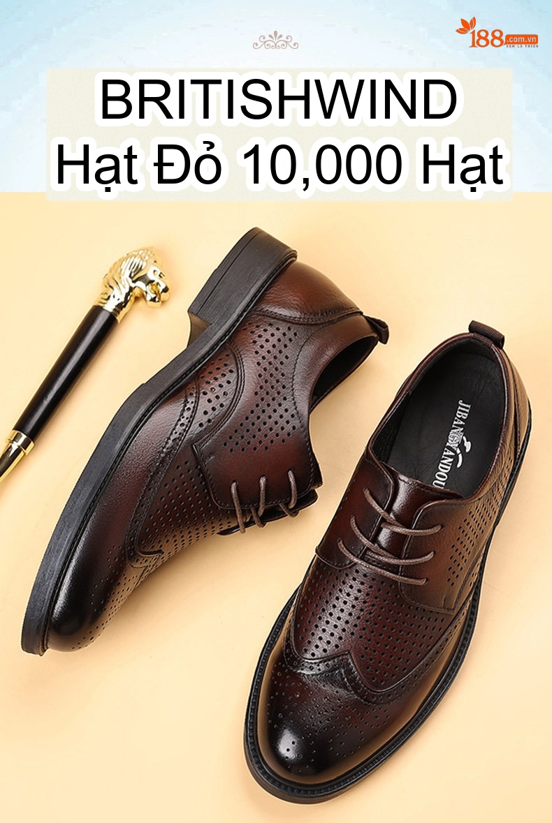 Giày Tây Đục Lỗ Nam Da Bò Chiều Cao Đế Khoảng 3cm Màu Nâu Đỏ, Đen chi tiết 1